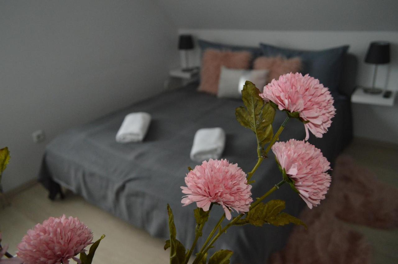 ティハニ Rebeka Panzio Bed & Breakfast エクステリア 写真